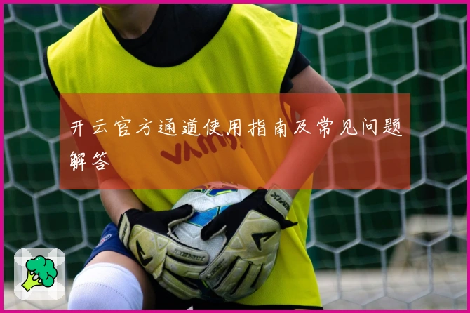 开云官方通道使用指南及常见问题解答